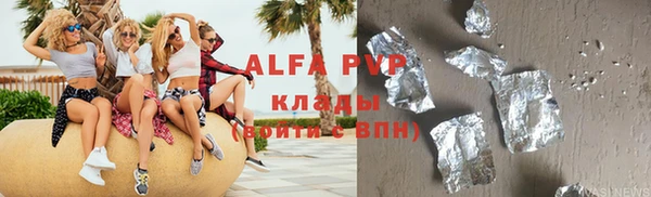 хмурый Абаза