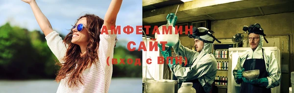 хмурый Абаза