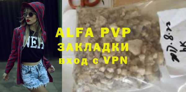 хмурый Абаза