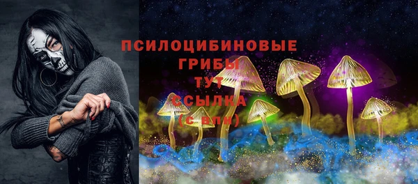 хмурый Абаза