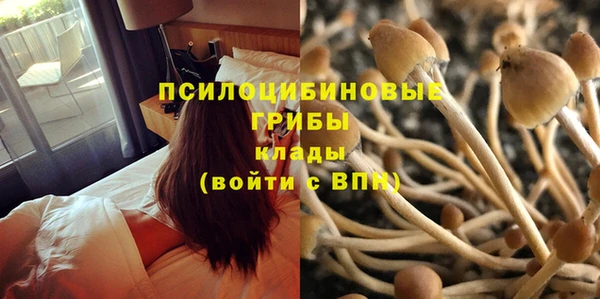 хмурый Абаза