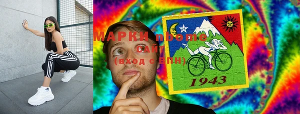крисы Осташков