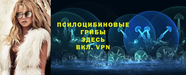 хмурый Абаза