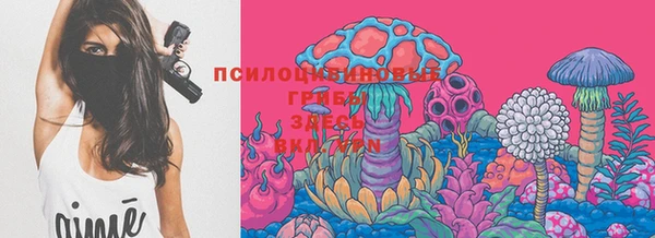 таблы Абинск